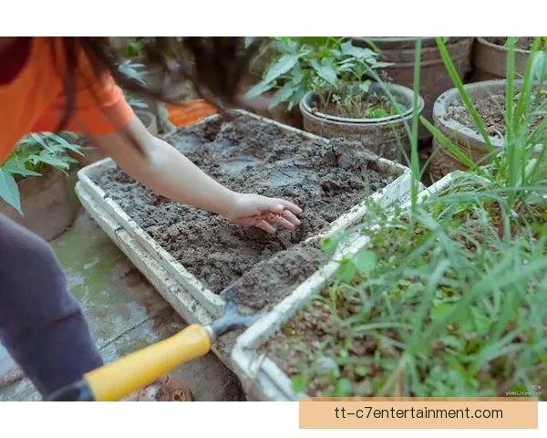 2026世界杯官方纪录片确认Netflix全程跟拍8支种子球队展现精彩背后故事